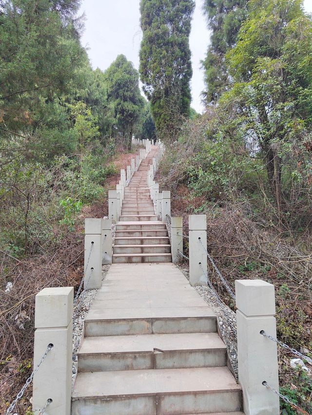 山東曲阜-泰山-濟南｜4天深度遊 不踩雷攻略