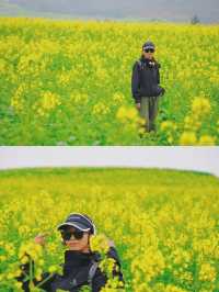 春日支線任務1/10 羅平油菜花