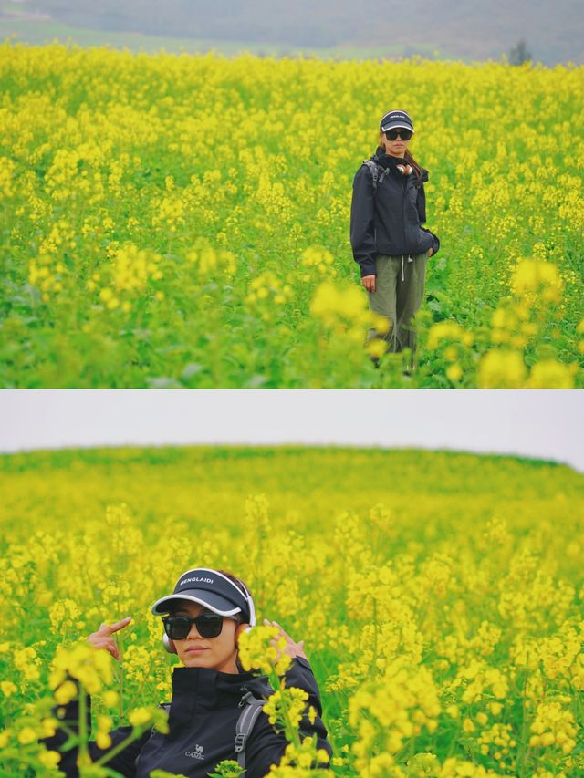 春日支線任務1/10 羅平油菜花