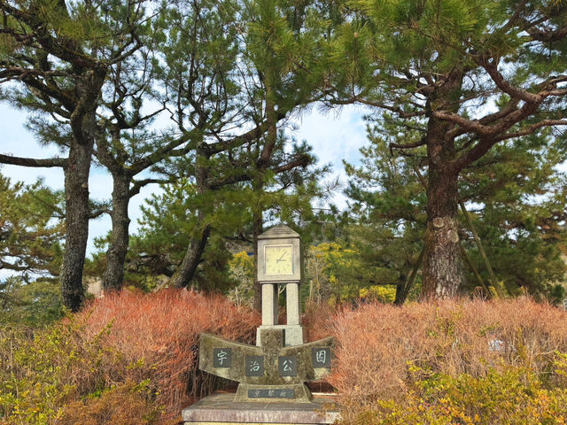 京都水岸畫卷！宇治公園×宇治川の治癒系漫步攻略🌊，美到不想走！