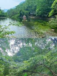 避暑還是要去山裡面喔