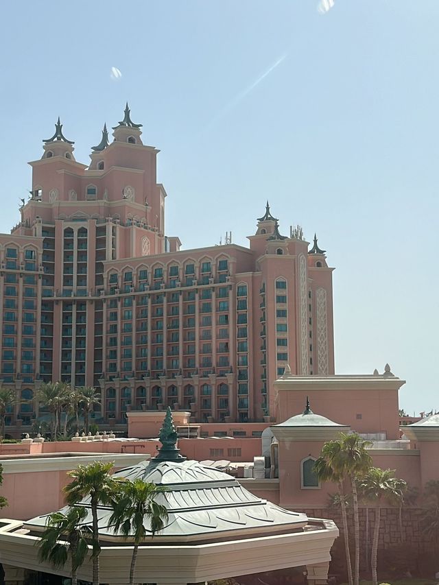 阿聯酋免簽春遊 美到窒息的旅行體驗