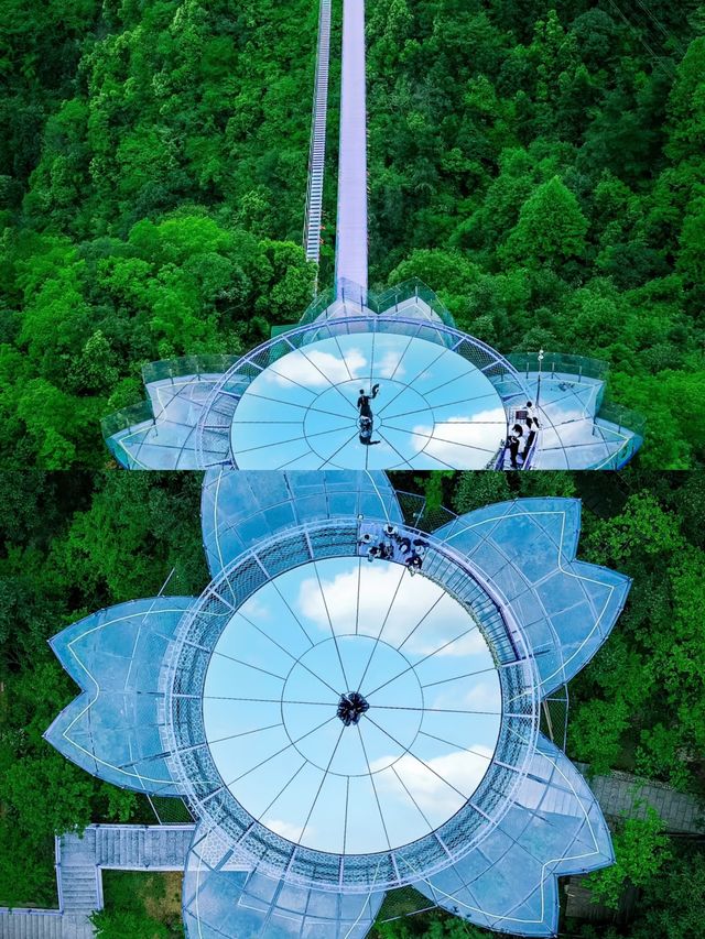 這個樂園像極了迪士尼。