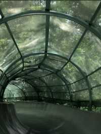 上海辰山植物園 | 賞春踏青攻略