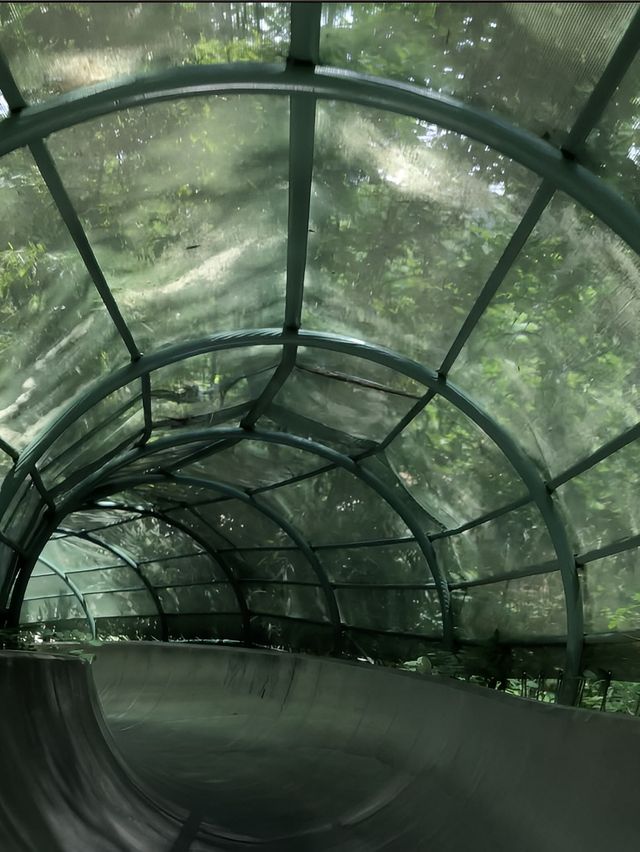 上海辰山植物園 | 賞春踏青攻略