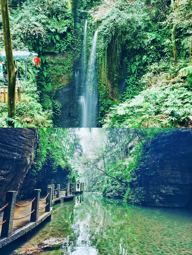 眾人皆赴海  唯我獨向山