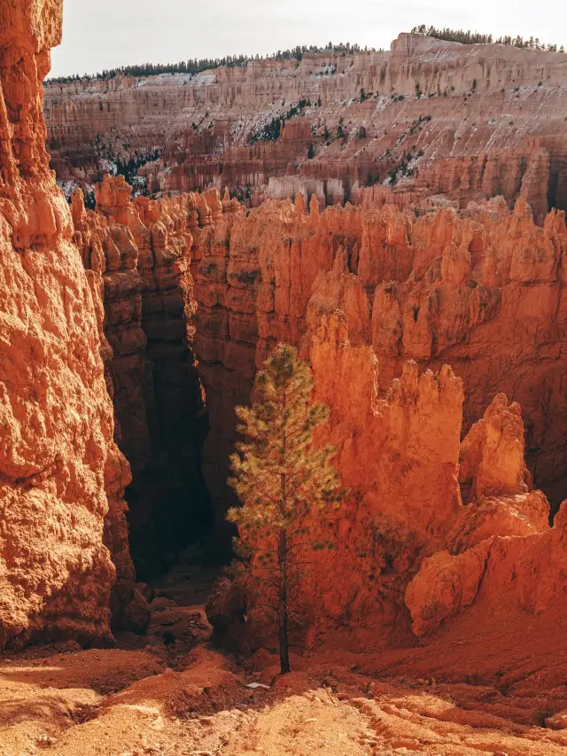 13-Day Ultimate US Travel Guide: A Must-Read for First-Timers