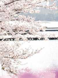 趁著花香微風，踏上「野」的旅程。