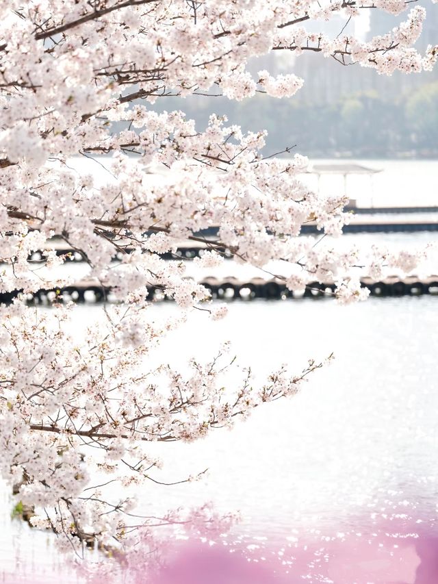 趁著花香微風，踏上「野」的旅程。