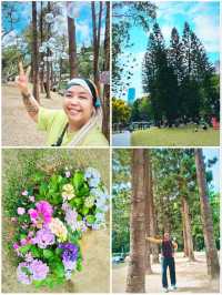PEOPLE'S PARK in SPRING