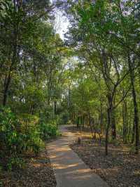 #尋蹤廣州潯峰山生態公園，邂逅自然之美