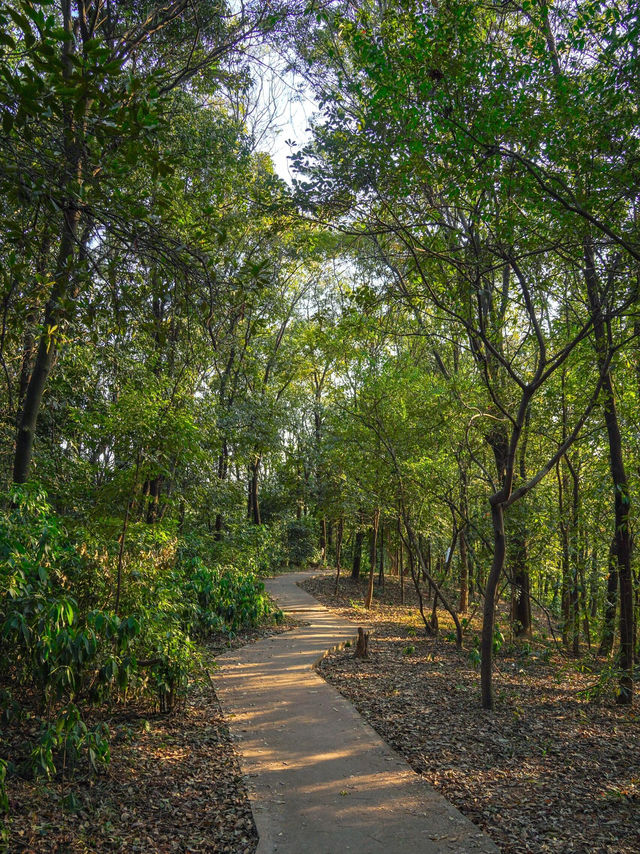 #尋蹤廣州潯峰山生態公園，邂逅自然之美