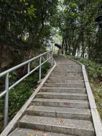 板障山森林公園：徒步邂逅自然之美