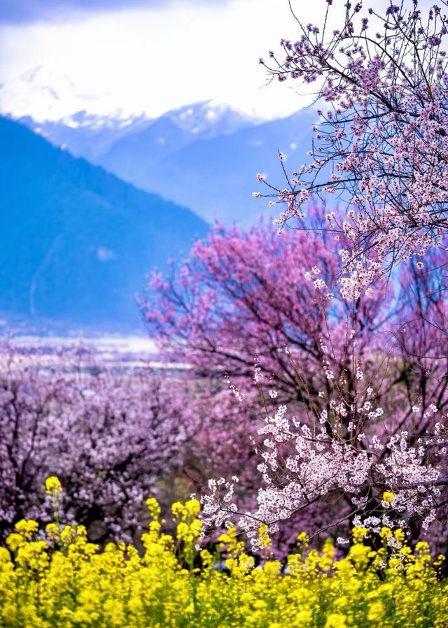 西藏·邂逅·南迦巴瓦峰