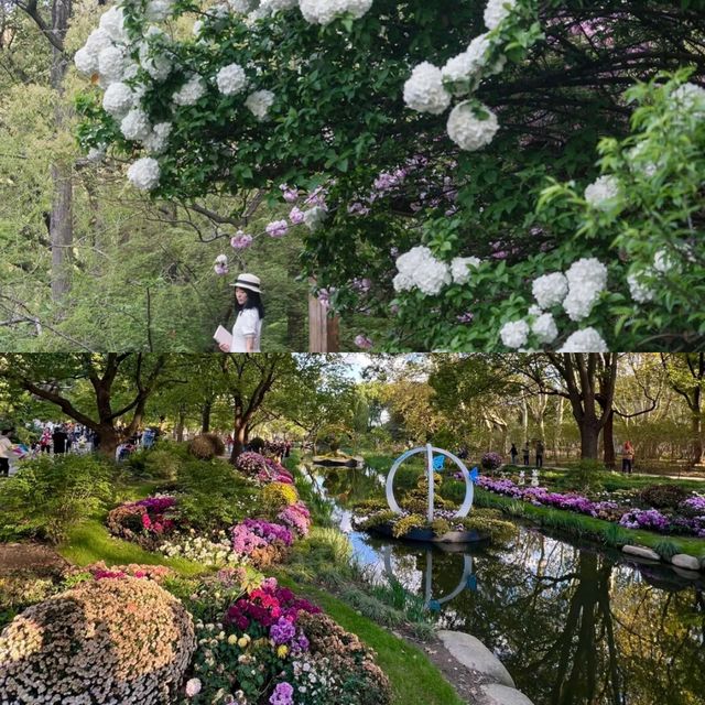 不敢相信 我在上海找到了現實版的莫奈花園