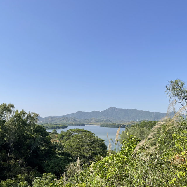 探秘！深圳水土保持示範園の蚯蚓洞奇遇