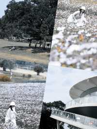 春天就要上春山 | 深圳1站地鐵暢玩4個寶藏地