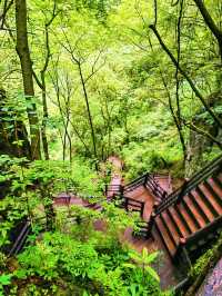 曾家山景區 | 走進天然氧吧，開啟清新治癒之旅