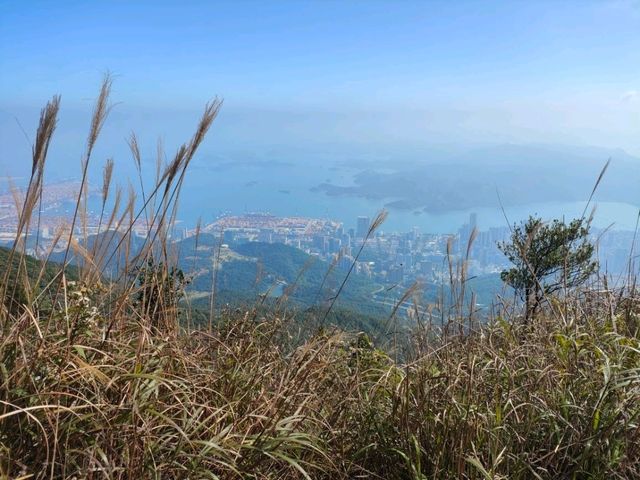 梧桐山：深圳的天然氧吧與登高望遠的絕佳選擇