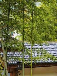 南山竹海充電之旅 | 在"天然氧吧"裡看"怡然自得"具象化