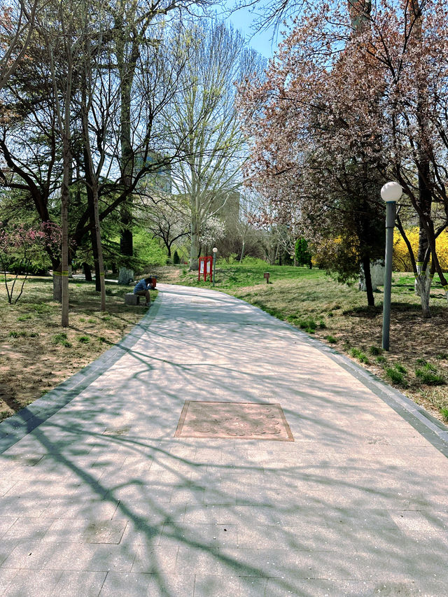 邂逅浪漫花海，濰坊人民公園春日限定