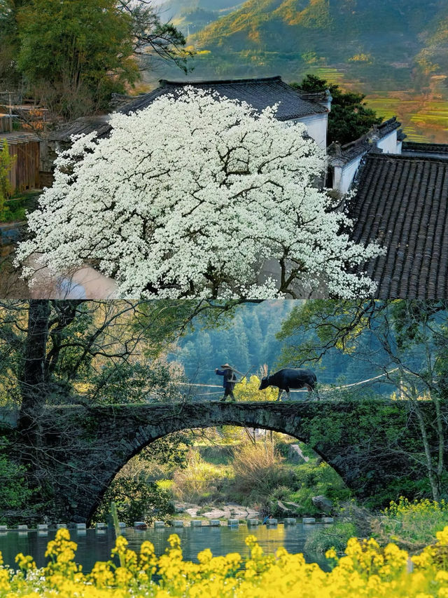比起景德鎮，我更愛上榜國家地理嘅春日小城