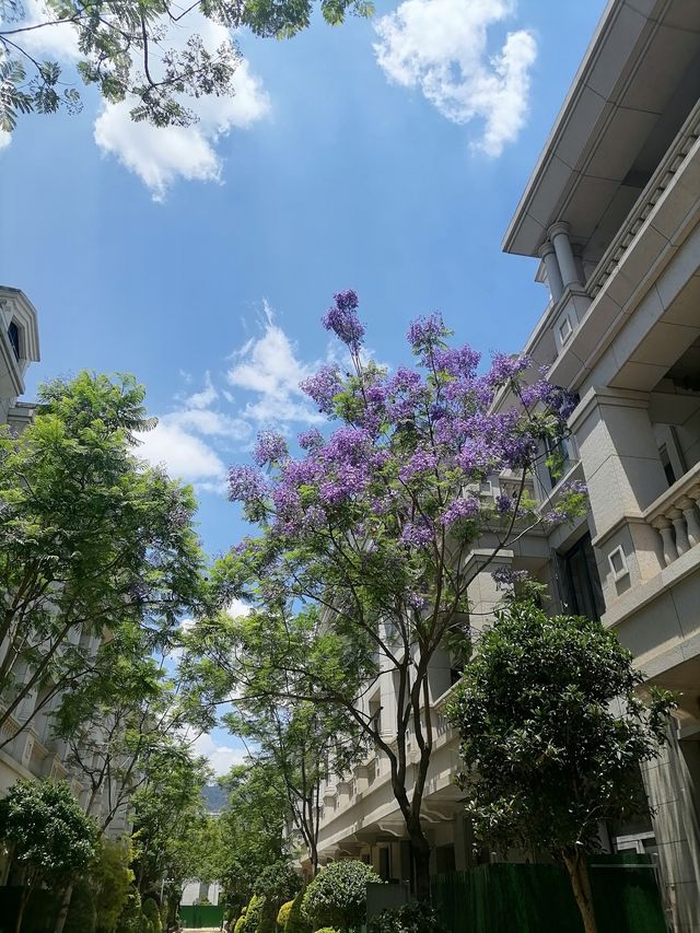 邂逅西山隱，解鎖旅居新境界