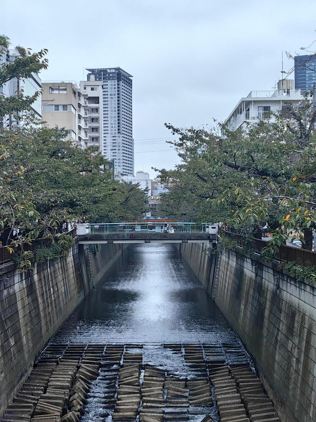 東京購物🛍️潮人必逛路線分享