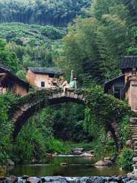 麗水松陽，被時間遺落的城市