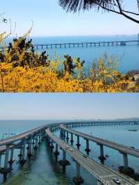 連夜整理5月大連旅行天花板攻略！附避坑
