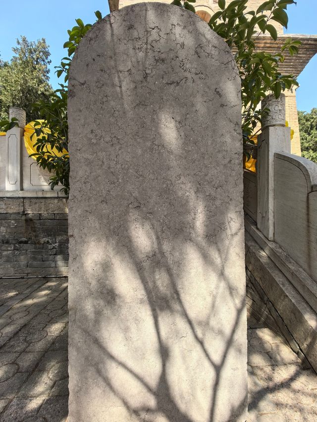 全國重點文物保護單位一一普救寺塔