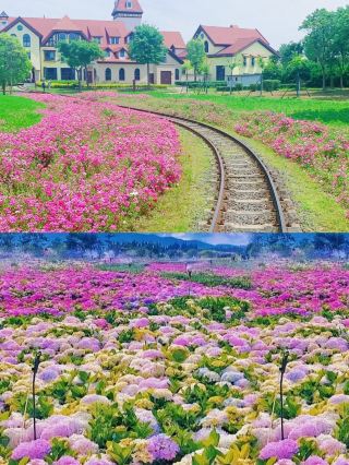 Hidden Gems for Couples to Explore During the Dragon Boat Festival Holiday