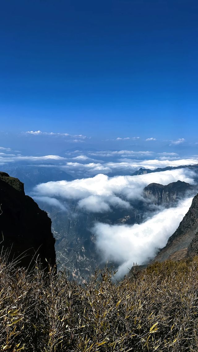 湖北22℃嘅森林秘境似仙俠世界