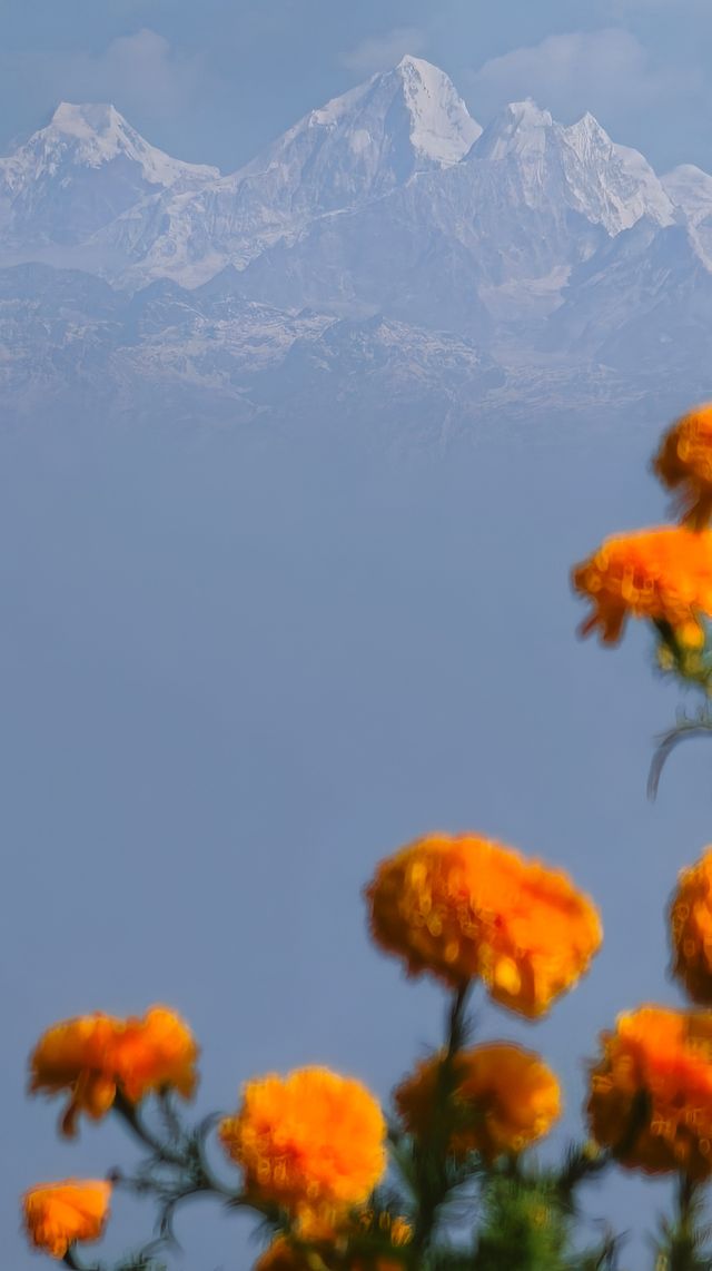 我搵到可以瞓喺床度睇雪山嘅地方