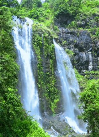 Help! Wenzhou Hides a "Wild Waterfall Universe" That 99% of Locals Don't Know About!