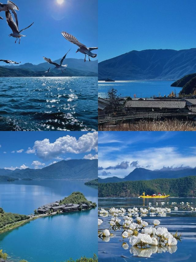 邊個會明呀，喺瀘沽湖影到詩入面嘅場景