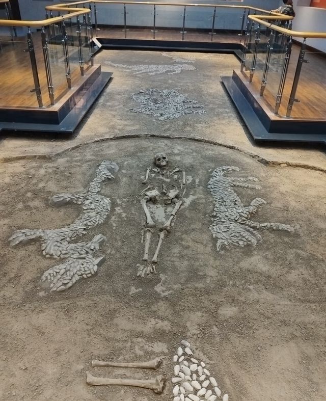 濮陽博物館～旅遊攻略