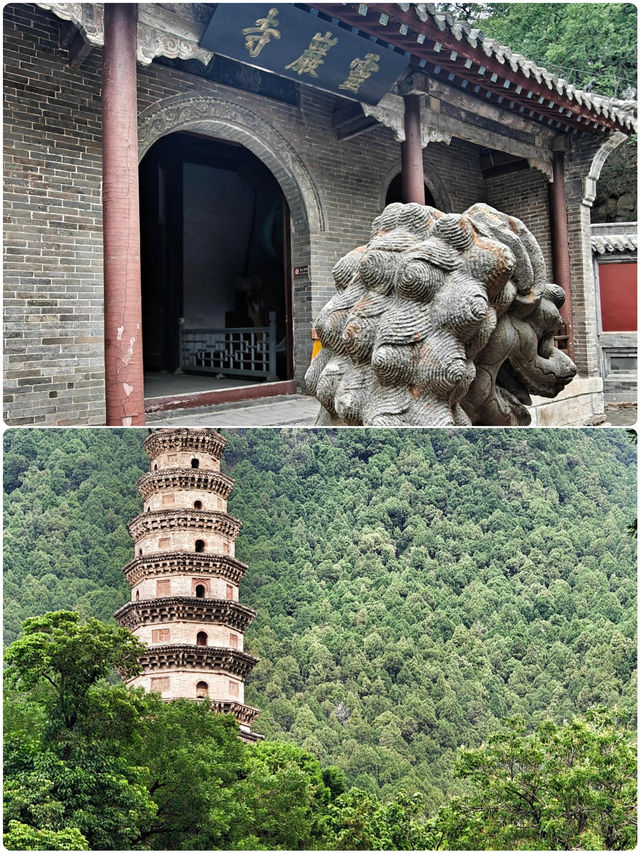 6月嚟濟南，切記唔好跟團