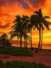 Aloha！夏威夷實在太靚 完全唔想走