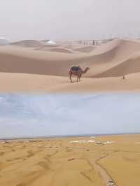 沙坡頭旅遊攻略 左手黃河 右手沙漠嘅奇幻世界