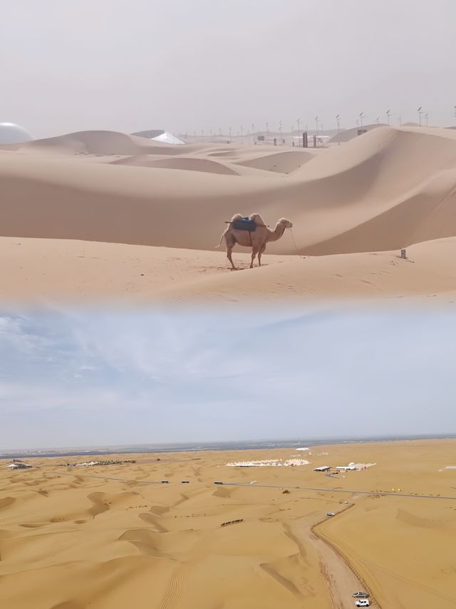 沙坡頭旅遊攻略 左手黃河 右手沙漠嘅奇幻世界