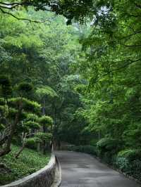 【青島旅拍日記】棧橋邊嘅治癒系週末