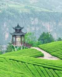 剛從恩施旅遊歸來，急不及待同大家分享真心話！
