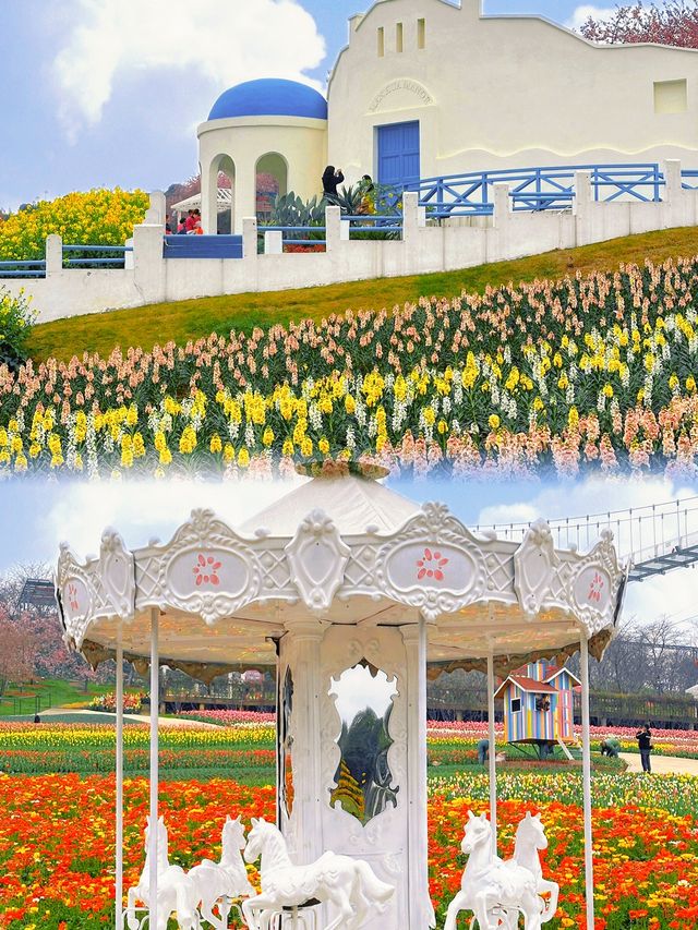 花海、尖叫與慳錢全攻略！