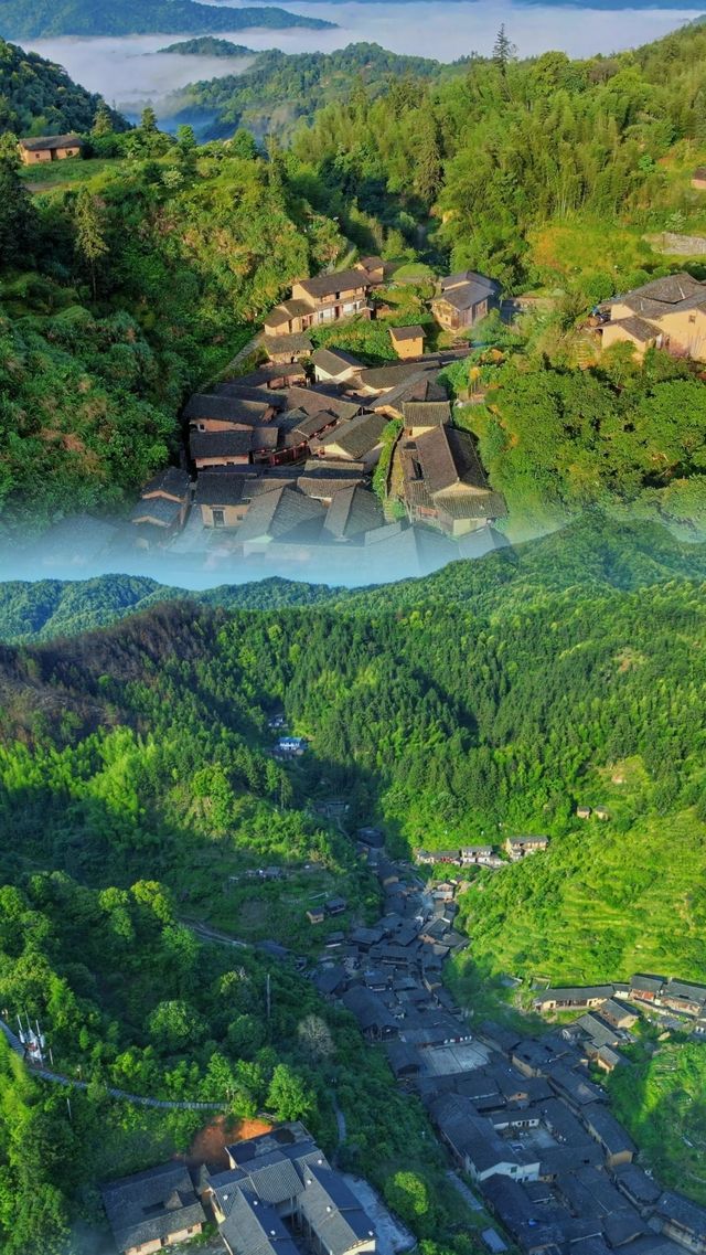去一趟丁屋嶺，治癒咗我嘅城市焦慮症！