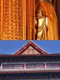 中牟受罪已回，真唔建議6月份嚟