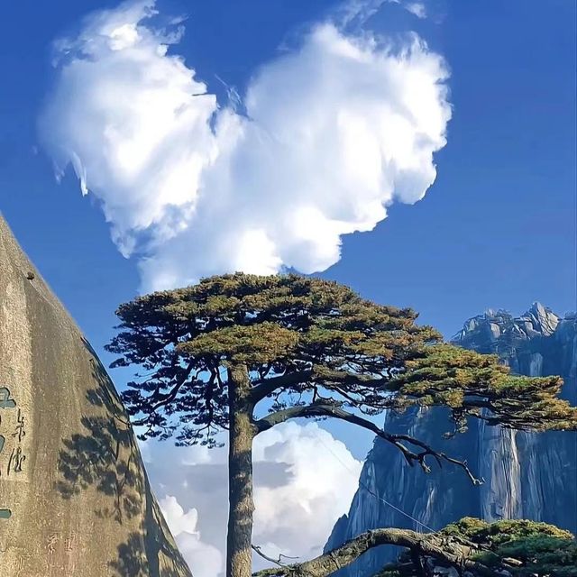 黃山遊玩全攻略｜雲海松濤、奇石溫泉，人生必去的山水畫卷