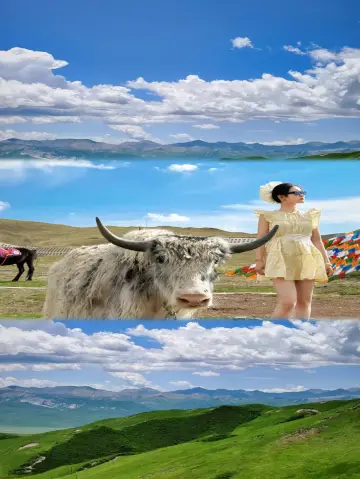 敦煌7月旅遊旺季預警!嚟定唔嚟睇完再決定