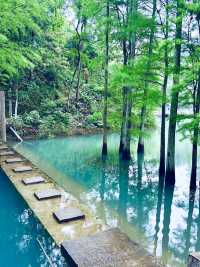森系週末｜長沙大沖山公園漫步