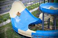 498住高星酒店+玩水上樂園！尖叫+雲端睡眠。